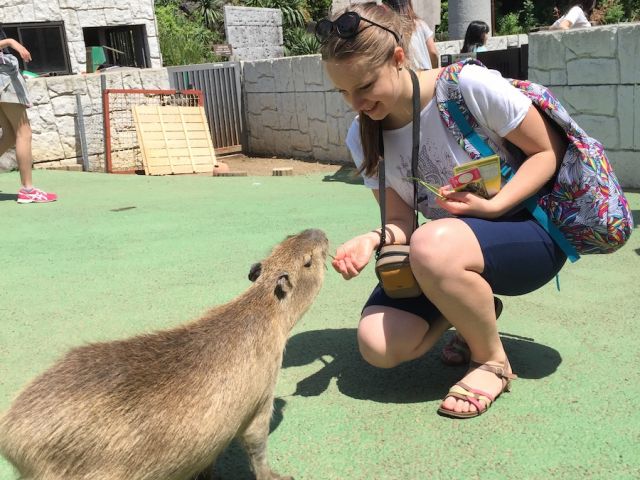 9 13時 13 17時 伊豆シャボテン動物公園 ダウンヒルサイクリング一碧湖コース レンタサイクル 大室山リフト券 伊豆シャボテン動物公園入園券 ガイド料 保険 自転車回収料つき グレートネイチャーツアーズ じゃらん遊び体験 9 13時 13 17時 伊豆シャボテン動物公園 ダウンヒルサイクリング一碧湖コース レンタサイクル 大室山リフト券 伊豆シャボテン動物公園入園券 ガイド料 保険 自転車回収料つき グレートネイチャーツアーズ じゃらん遊び体験