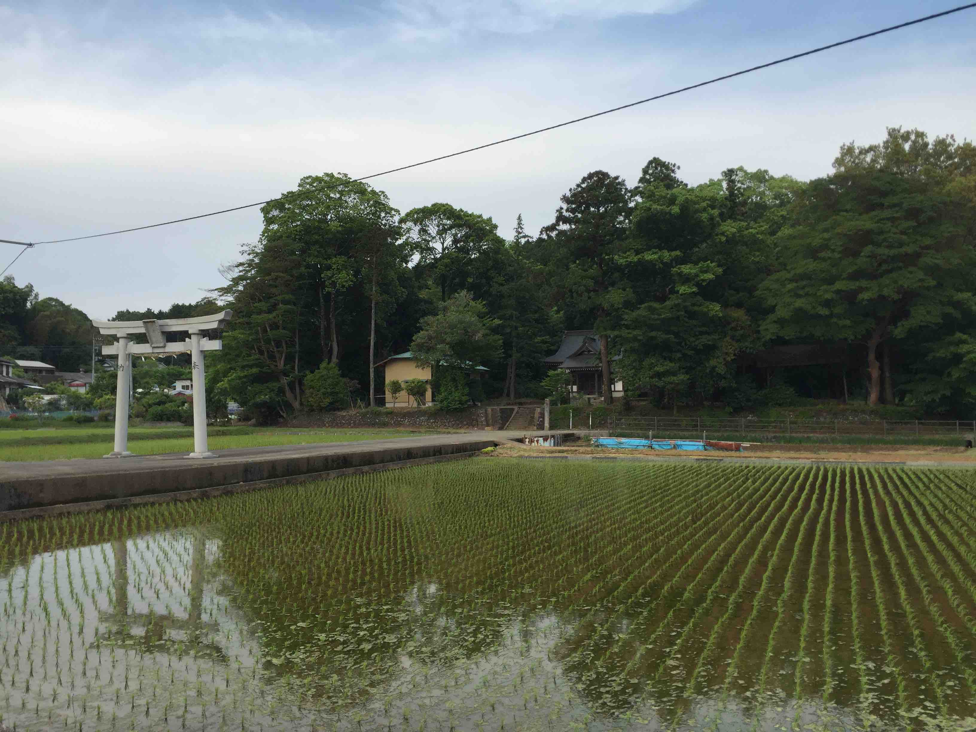 永遠の里山「浮橋地区」、田んぼの脇にひっそりと佇む神社