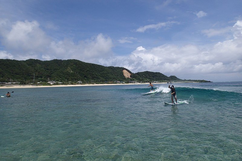 �܂��͂r�t�o�̊�{�I�ȓ������m�F�B�R�c�Ȃǂ��X�^�b�t���₳���������Ă���܂���