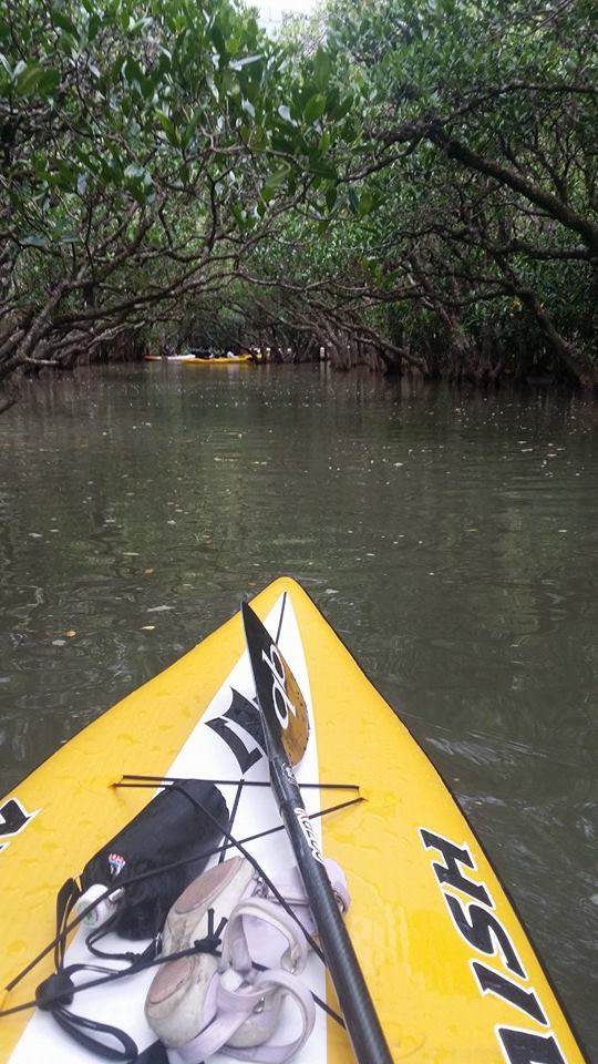 }O[uɂ͐񐶑Ă܂BVRLO̓AƂo`XI