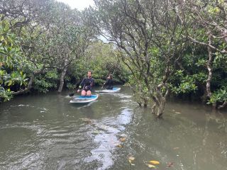 SUPに乗って特別保護地域へ探検!