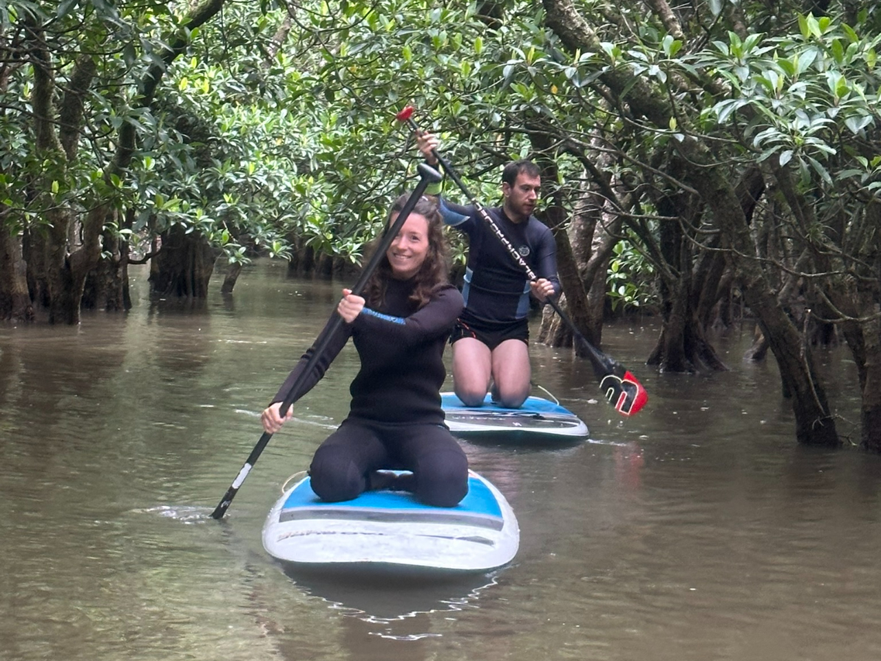 ��{�I�ȓ�����w�񂾂�A�}���O���[�u�܂ł����o���I