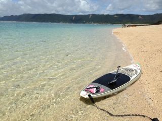 奄美のベストポイントもご紹介いたします!