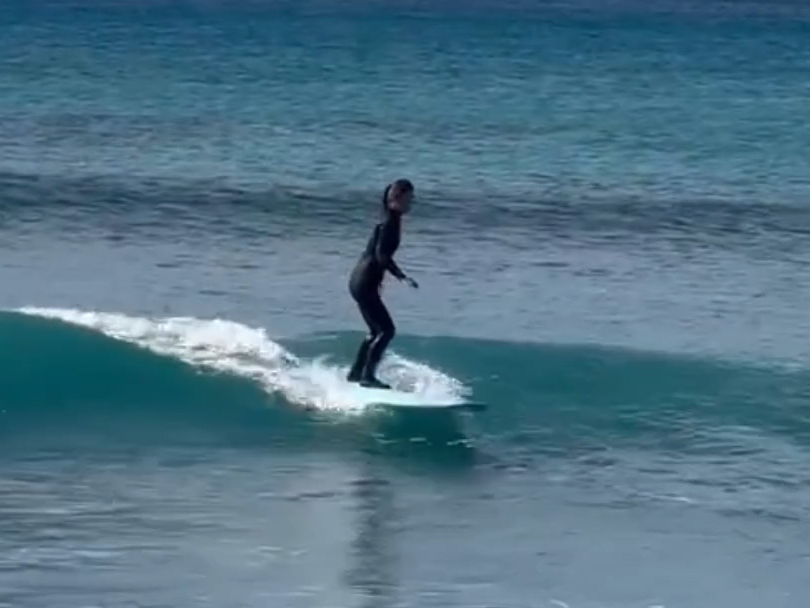 񂩂ƂA1N炢Ƃ鐶kɂ́An[h{[hŃ`WĂÃphŏ悤ɃAVXgĂ䂫܂B