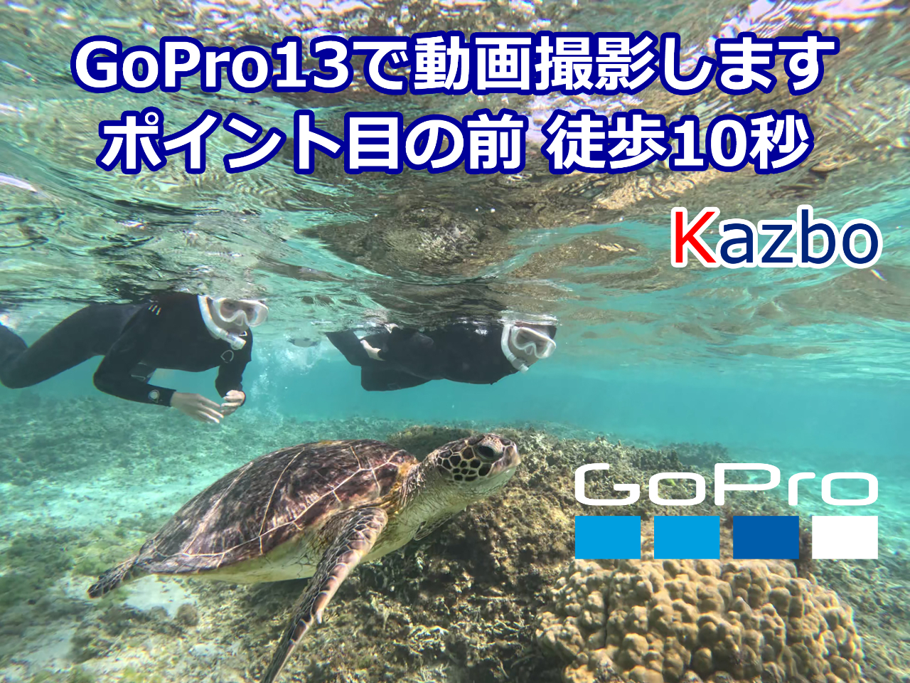 当ショップは、奄美でも最もウミガメが生息する用安ビーチの目の前にあります。弊社のウミガメシュノーケルツアーは階段を降りればそこがポイントで空帰る前におすすめです
