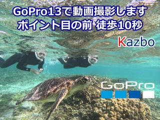 当ショップは、奄美でも最もウミガメが生息する用安ビーチの目の前にあります。弊社のウミガメシュノーケルツアーは階段を降りればそこがポイントで空帰る前におすすめです