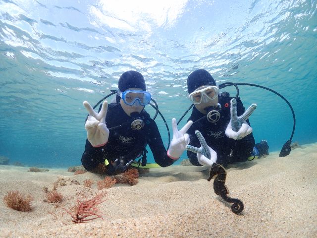 たくさんの生物達がお待ちしています!