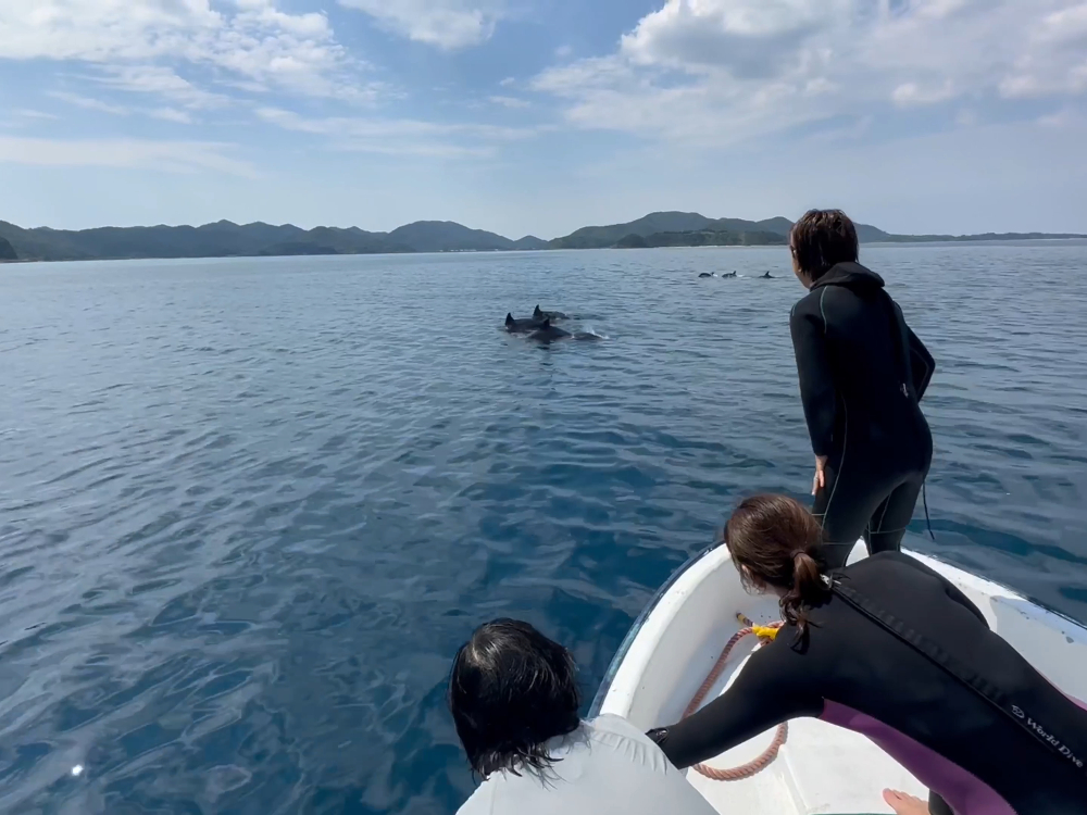 ^悯΁AړɃCJƂo܂B