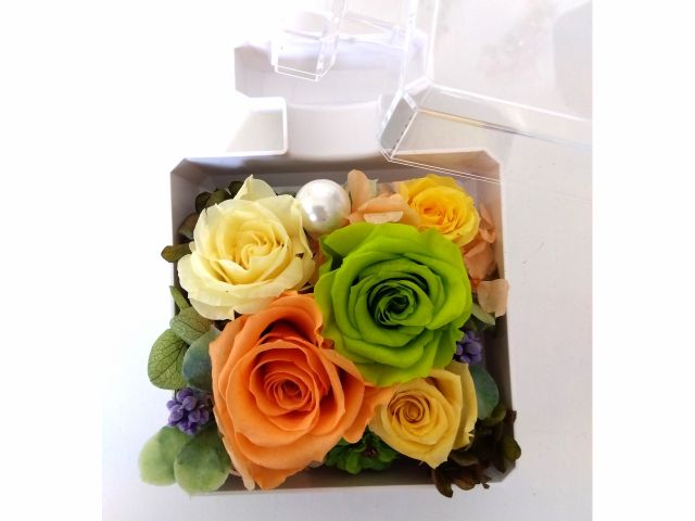 ケースを開けるとこんな感じです