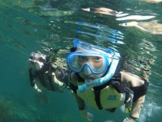 子どもから大人まで、親子一緒に楽しめます