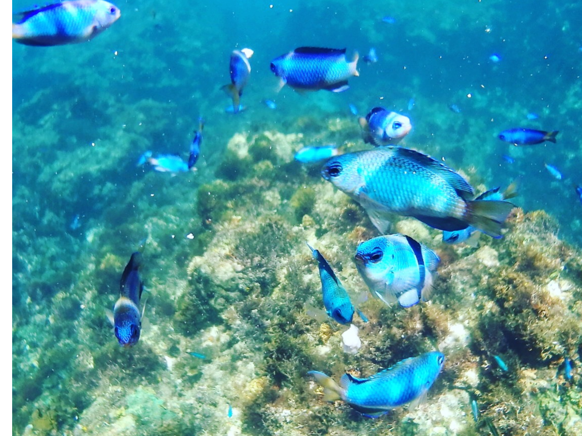 �C�̒��̓J���t���ȋ������ł����ς��ł��I