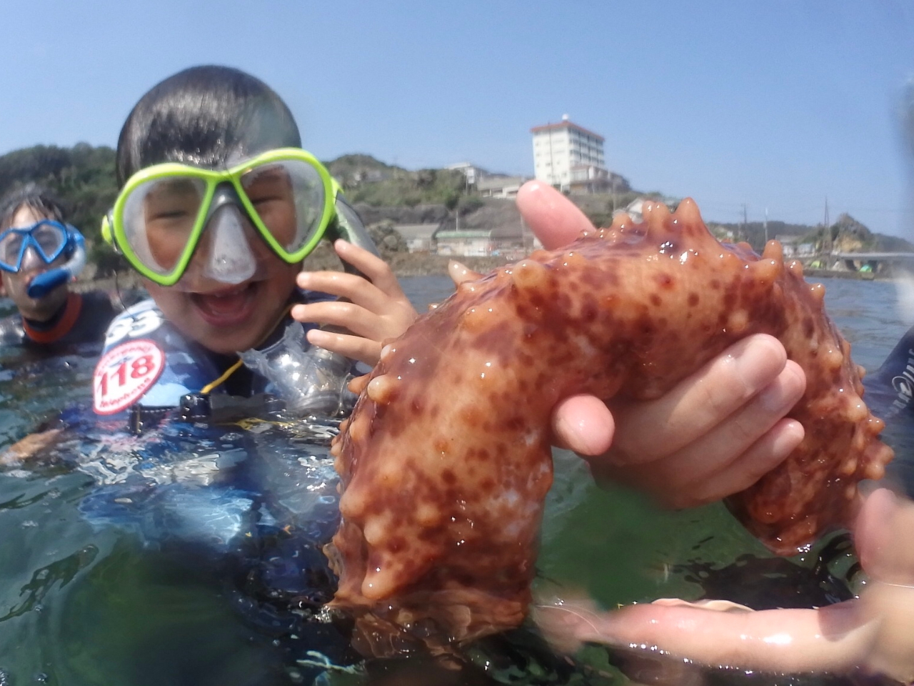 �����ڂ͂�����ƁE�E�E�F��Ȑ�����������܂���