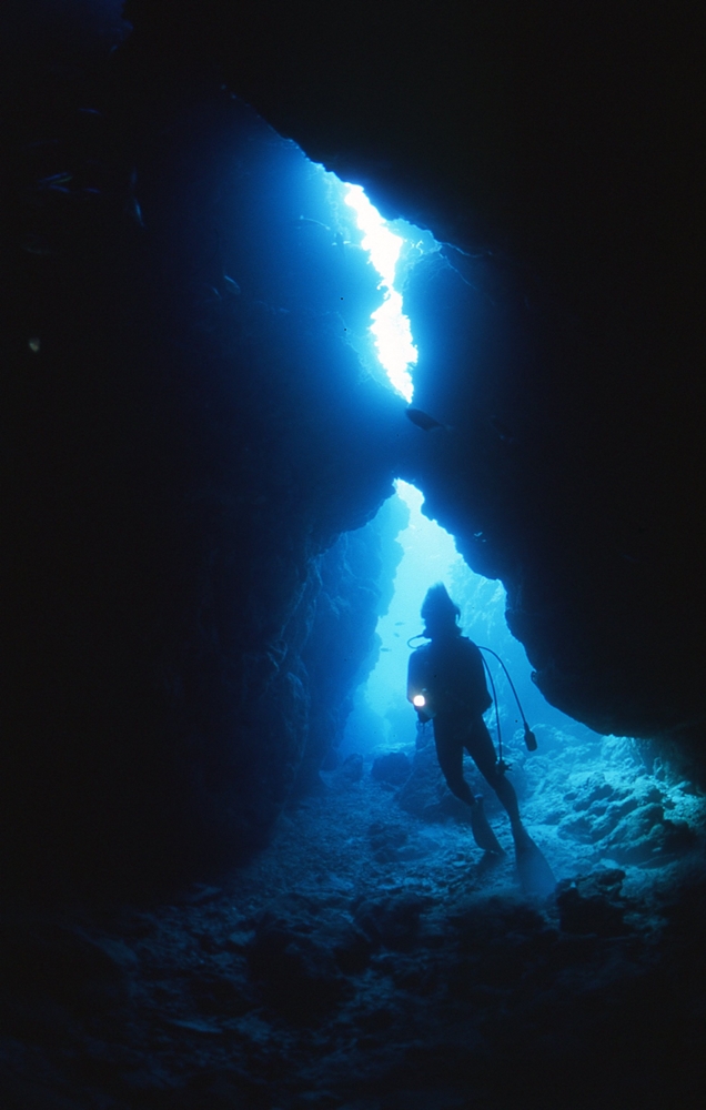 ꓇ł͒n`n肾̌|pĂI