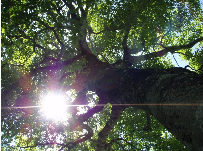 ���s�k�R�t���[�N�����̃R�[�X�B�K�C�h�u�b�N�ɂ��ē�����ĂȂ��R�X�ւ��s���Ă݂������B