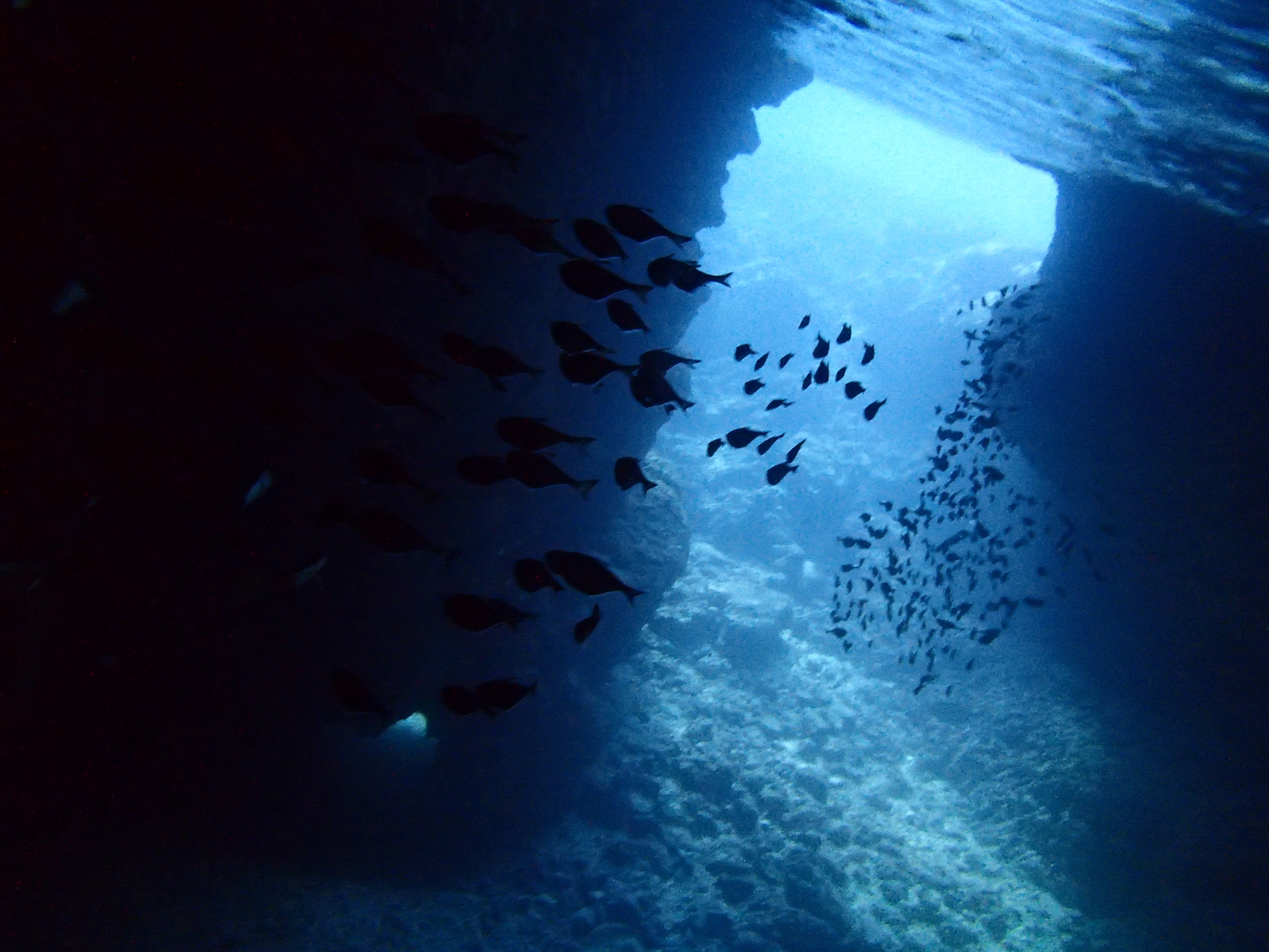 {ŁAgbvNXYœx̂|CgɂēI