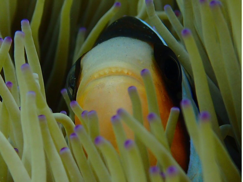 C̐lCҁIN}m~ɂႤI