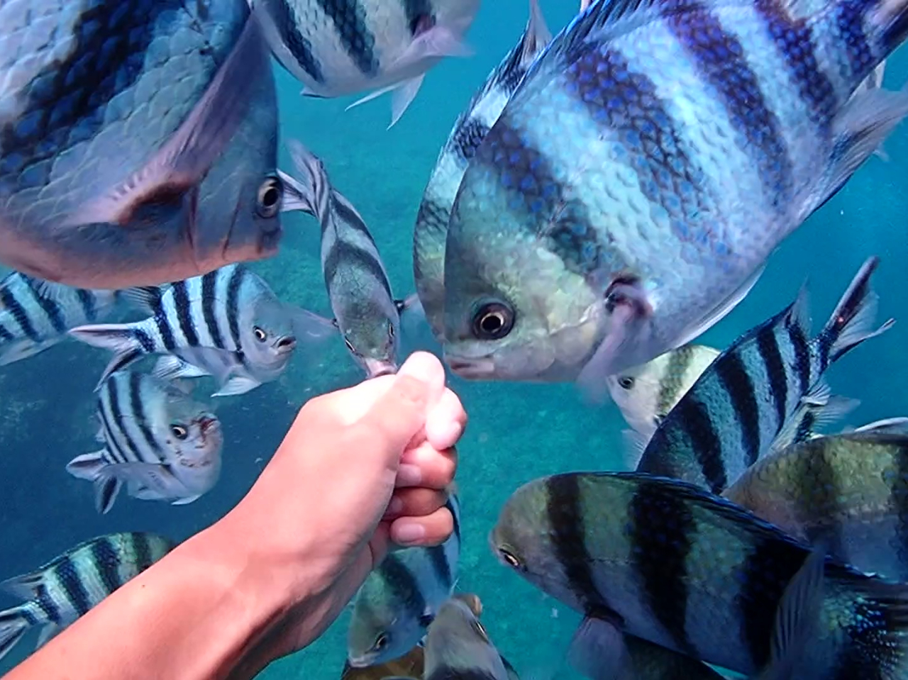 ̉aťI͐lɊĂ̂ŁAϋɓIɗĂ܂I