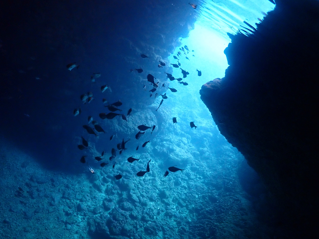 ̓AAzIȃu[ɍsIIAɂȂꂿႤI