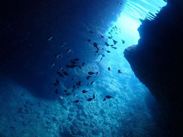 青の洞窟、幻想的なブルーを見に行こう!洞窟でしか見れないお魚も見れちゃう!