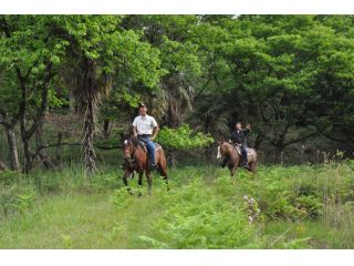 外乗風景♪自然の中でホーストレッキング!!