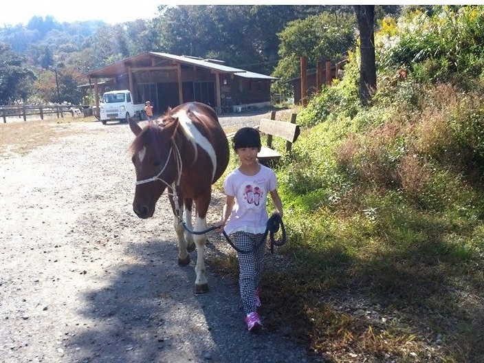 qlłvg120Z`ȏȂAwPŇł܂I