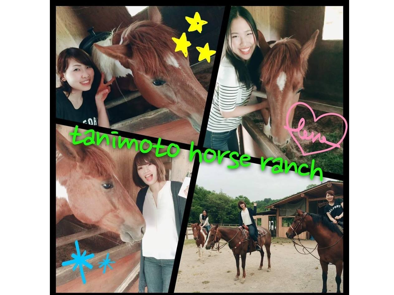 񏗐AVjA̕܂ŊFl劽}ł