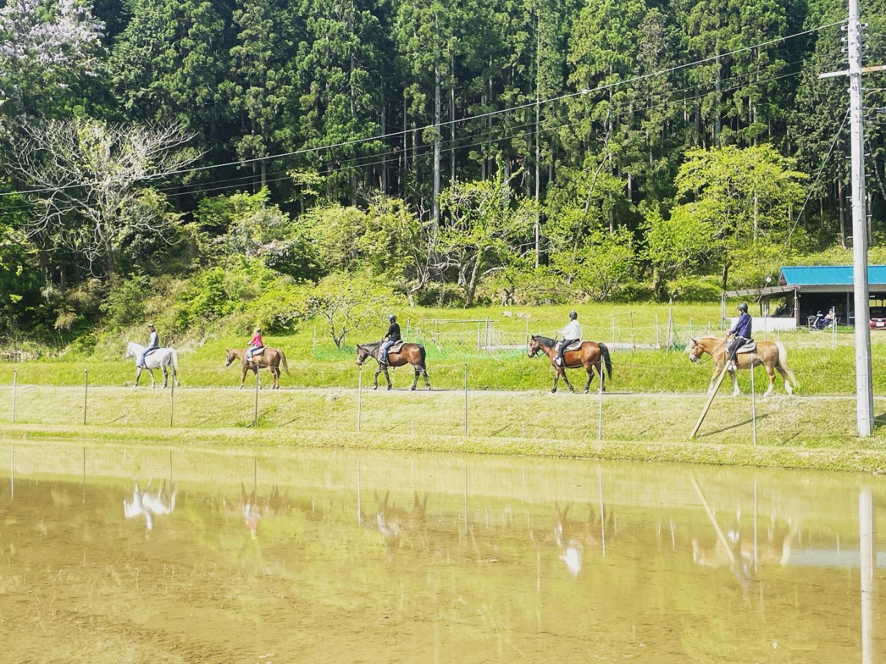 ^jgz[X`͊֐ɂ苞s̐ARicÂȏꏊɂ܂BvCx[gȎԂAnʂĉ߂܂񂩁B