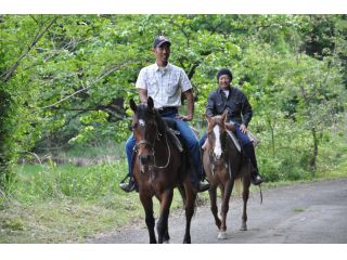 京都の静かな里山風景の中を、馬上に揺られて、繰り出します。外乗に出かける前に、レッスンをするため、初心者でも大丈夫。