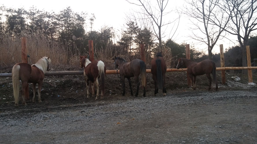 ^jgz[X`̒Ԃ5̔n烌xNɂāA1Iт܂B