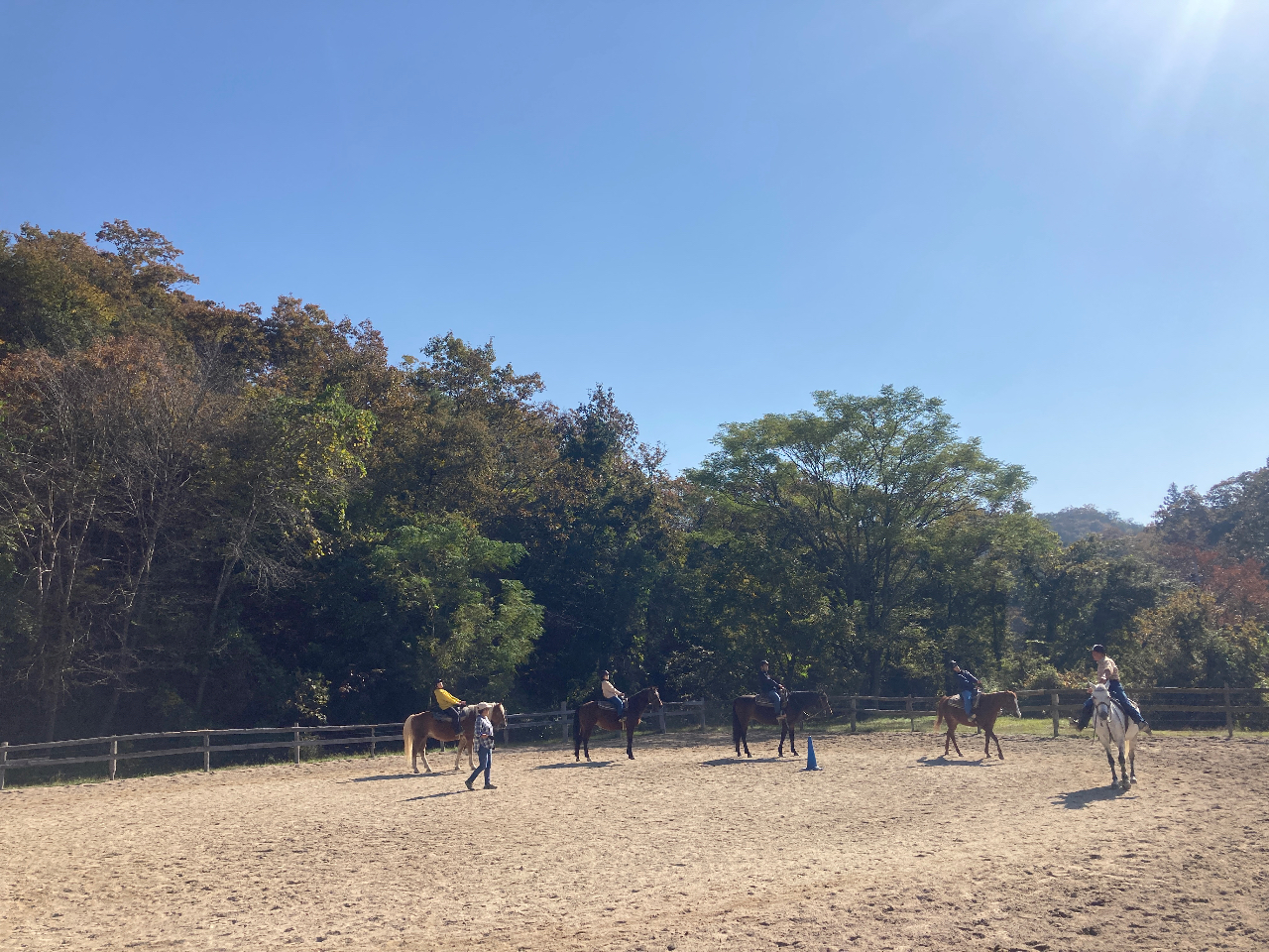 K̗lqB߂Ă̕A搶JɎw܂̂łSI