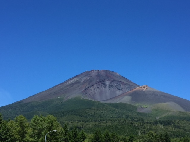 �x�m�R�̓쓌�ΖʂɌ�����傫�ȉ��݁A��i�Ό�������R�[�X�ł�