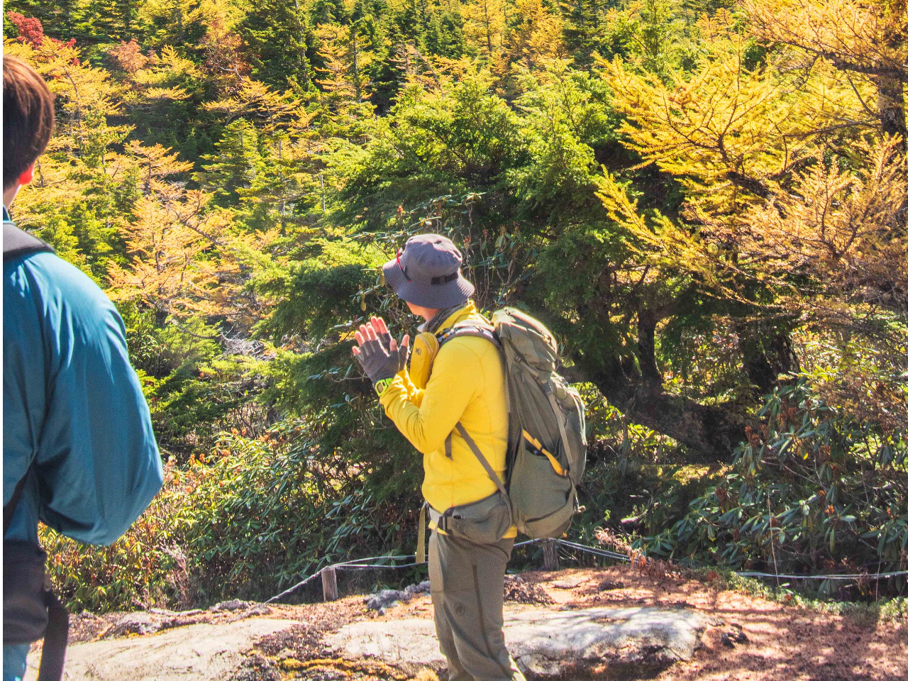 �x�e�����J�C�h���F�l�����������S�ɂ��ē��v���܂�