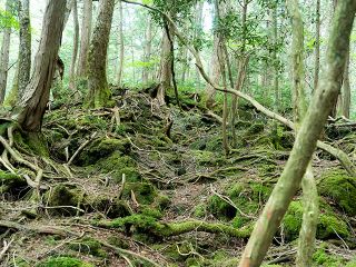 一般観光客では、絶対入れない観光洞窟ではない、本物の洞窟3ケ所に入洞致します