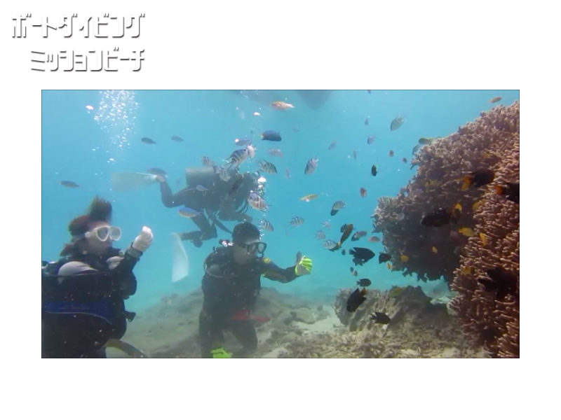 �g�ݐ؂�h�̌��_�C�r���O(�{�[�g�_�C�r���O)