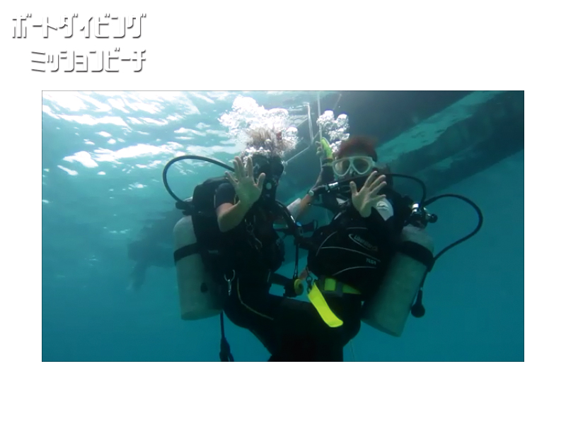 �g�ݐ؂�h�̌��_�C�r���O(�{�[�g�_�C�r���O)�@�}���c�[�}���ł��������~