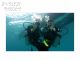 “貸切り”体験ダイビング(ボートダイビング) マンツーマンでゆっくり潜降