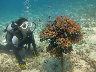 “貸切り”体験ダイビング(ボートダイビング)