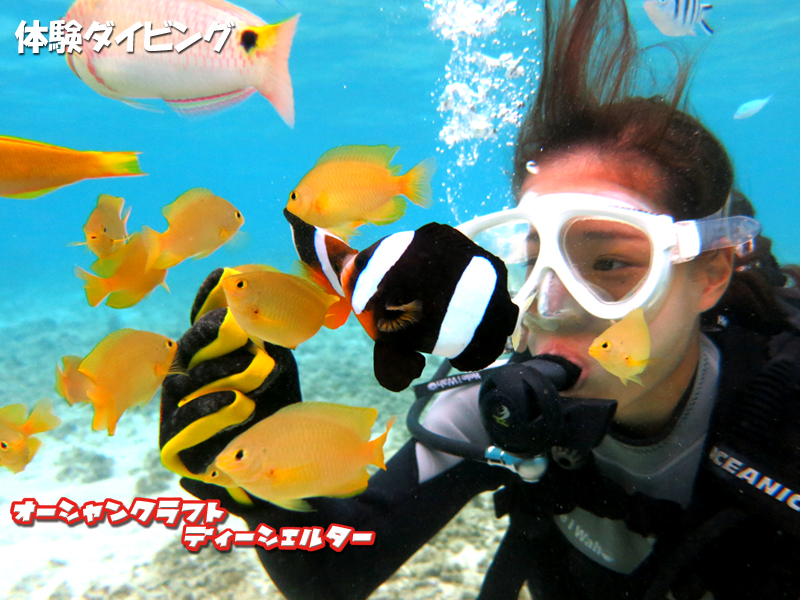 ���߂Ă̑̌��_�C�r���O(^_^)v