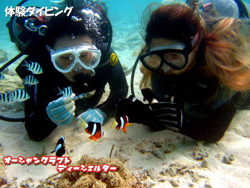 ���炵���N�}�m�~�e�q���A����Ȃɋ߂��Ŋώ@�ł����Ⴂ�܂� (^_-)