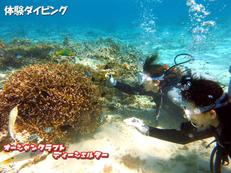 TS̎ŔMыɉatĂ݂悤R(^o^)