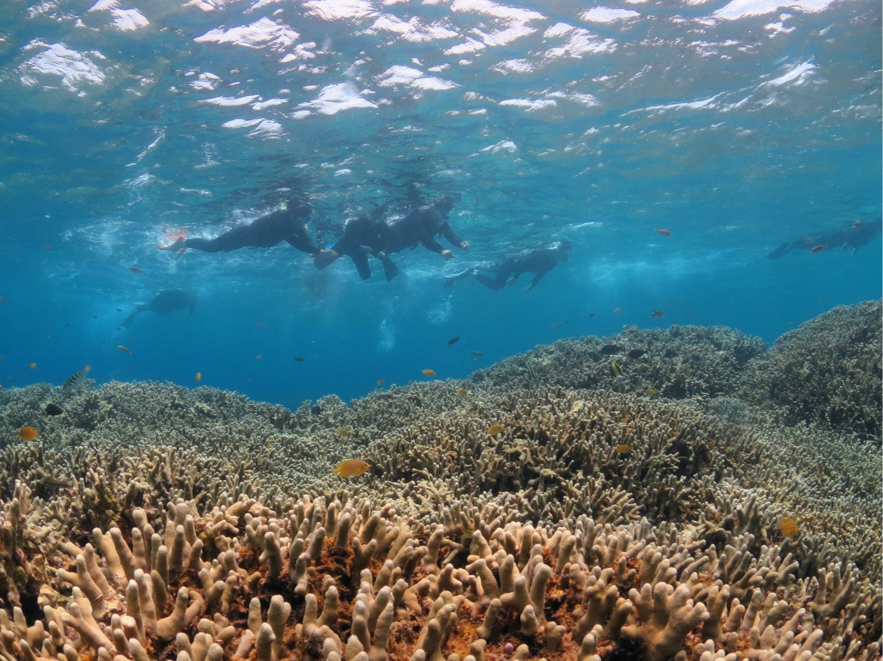 TSɌQMыB̏vJvJVm[PO 