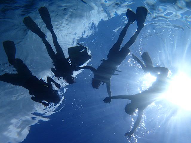透明度抜群の海でシュノーケリング!!