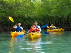 名蔵アンパルマングローブの中のSUP