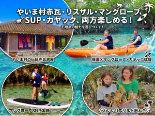 やいま村の秘密のスポットは参加者だけ、石垣島保護区のマングローブ、ナグラアンパルもこのツアーだけ!なかなか見れない生物や植物も沢山