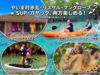 やいま村の秘密のスポットは参加者だけ、石垣島保護区のマングローブ、ナグラアンパルもこのツアーだけ!なかなか見れない生物や植物も沢山