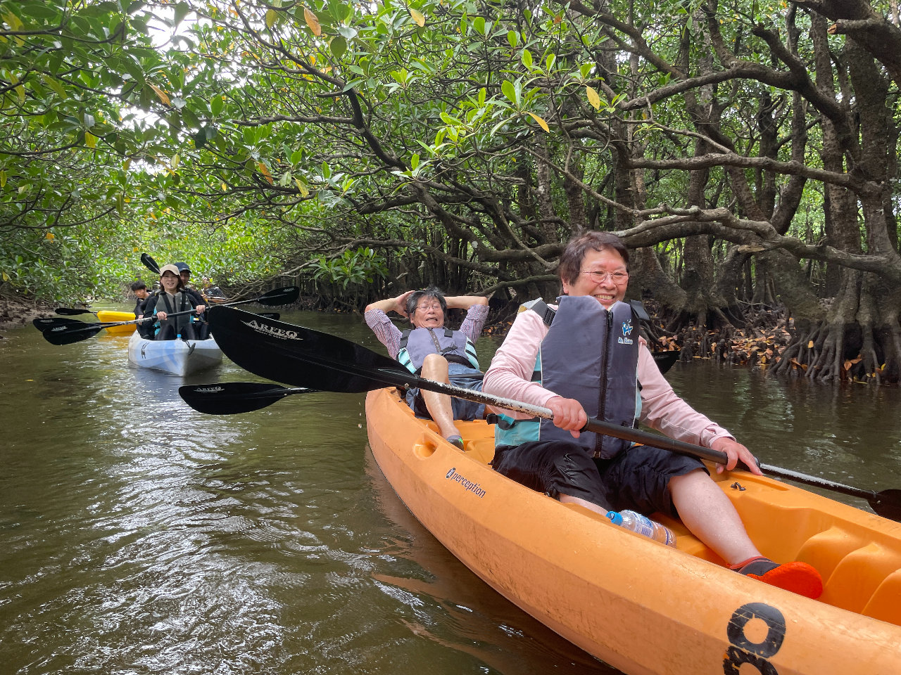 マングローブのトンネル