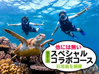 川平湾・青の洞窟・やいま村・マングローブトンネル・ジャングル・回復の滝・シーサーパーク・シュノーケル・SUP・カヤック・リスザル・ウミガメ・ニモ・カンムリワシ