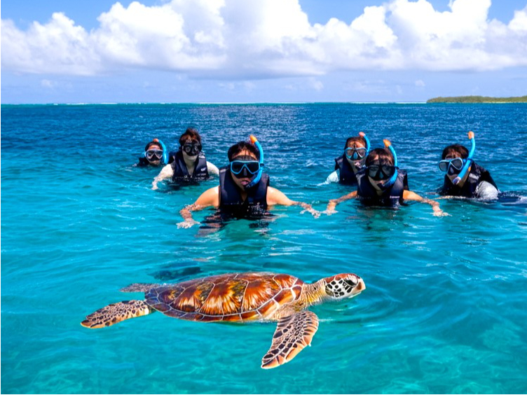 ̓̃RfBVɍ킹Ċ蓹ȂǂI