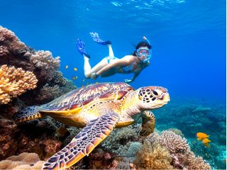 石垣の海で自由に泳ごう!!