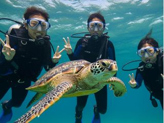 ウミガメにあえるかも